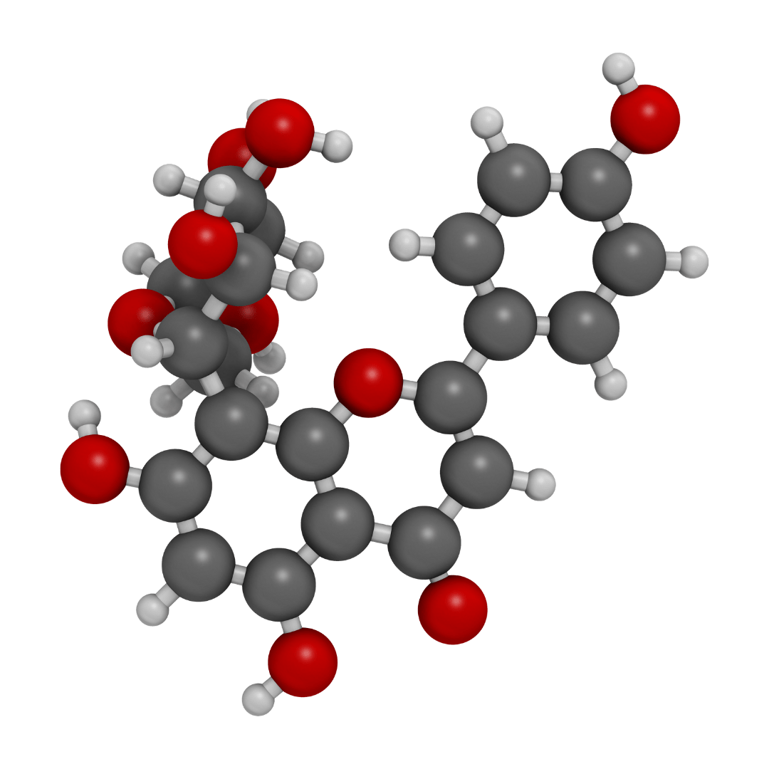 Decyl Glucoside - L'Ouest