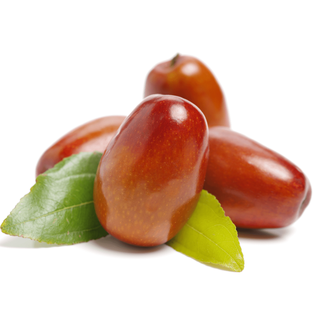 Jojoba Oil - L'Ouest