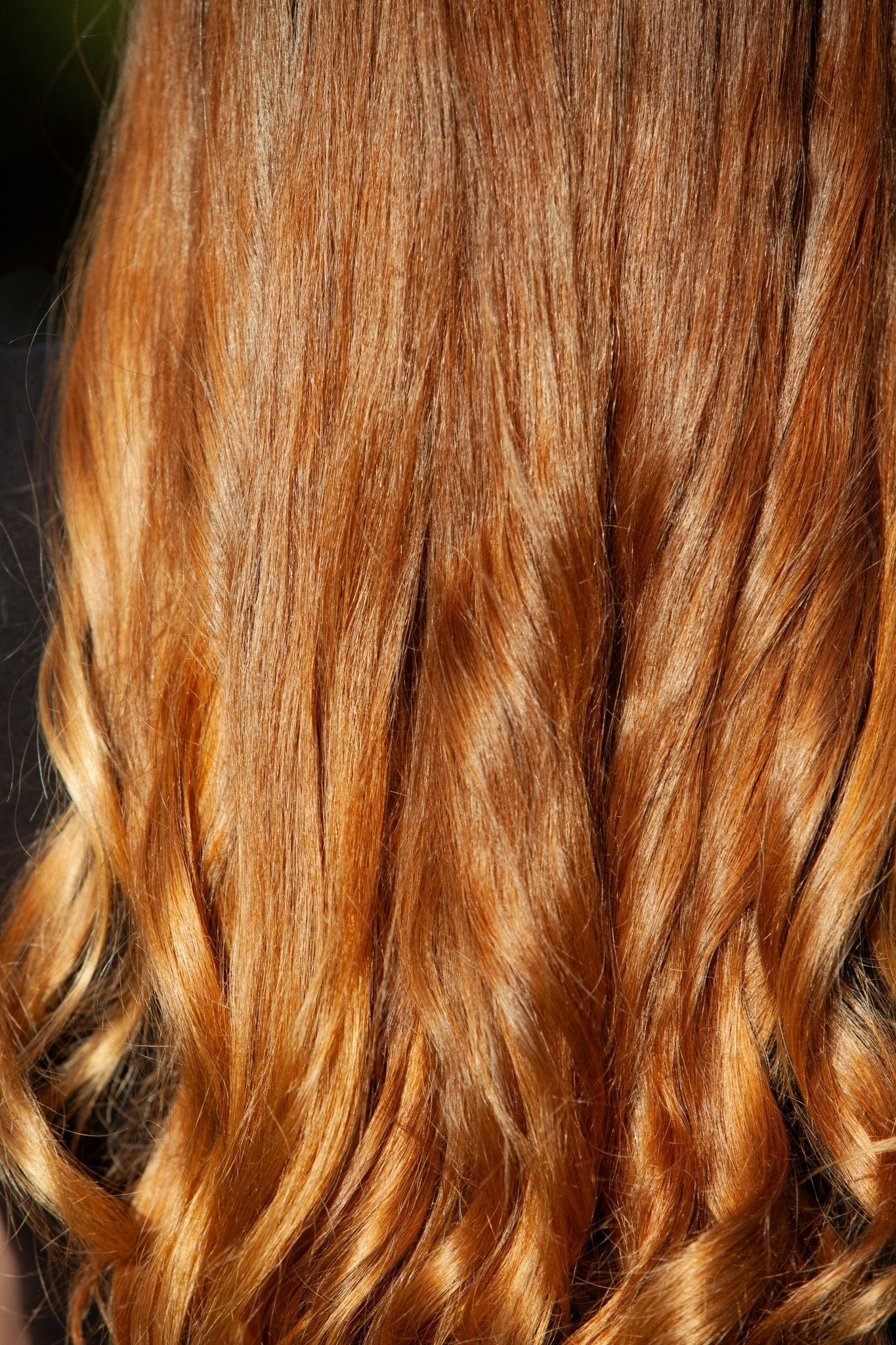 THE STANDARD SET - L'Ouest