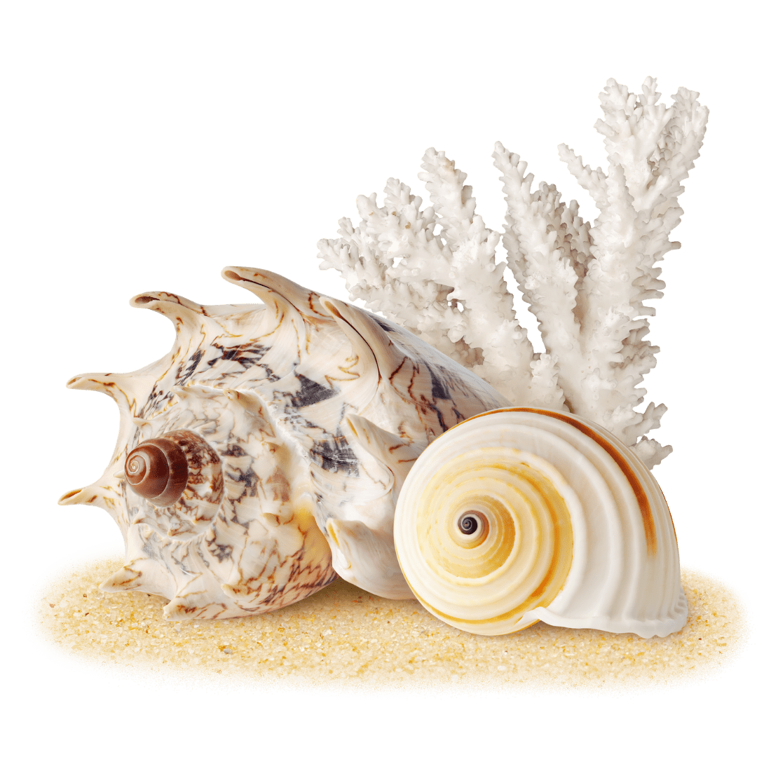 Glucosamine HCL - L'Ouest