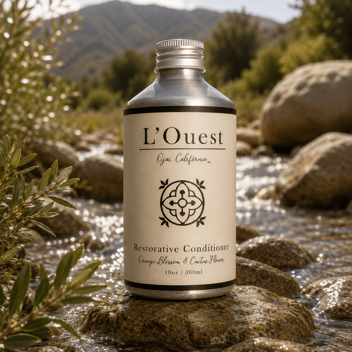 RESTORATIVE CONDITIONER - L'Ouest